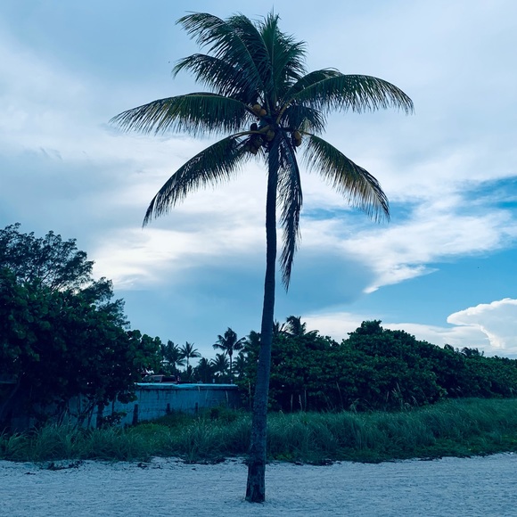 Meet your Posher, Deb - Picture 4 of 6